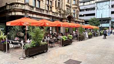 The New Conservatory