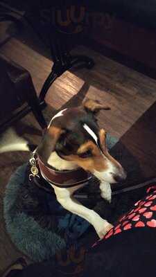 The New Conservatory