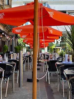 The New Conservatory