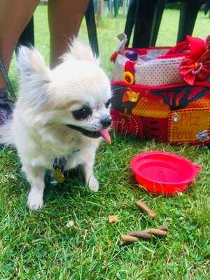 Humberstone Park Cafe