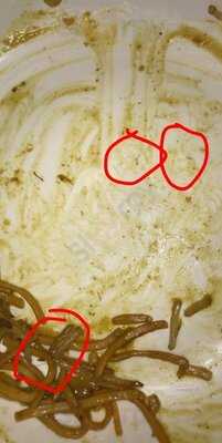 Happy Family Chinese