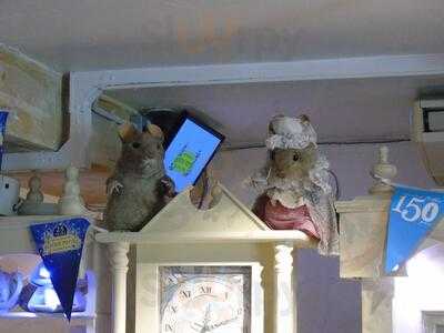 The New Laundry Cafe