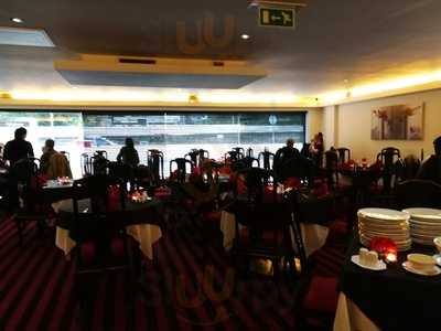 The New Orchid Garden