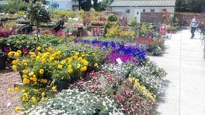 Foundry Plant Centre & Coffee Shop