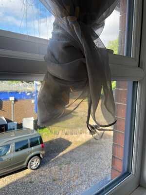 The Holystone Bar And Restaurant