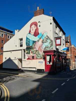 The Red Deer - Photo 8