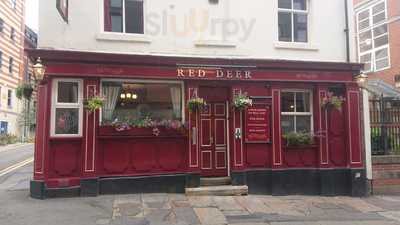 The Red Deer