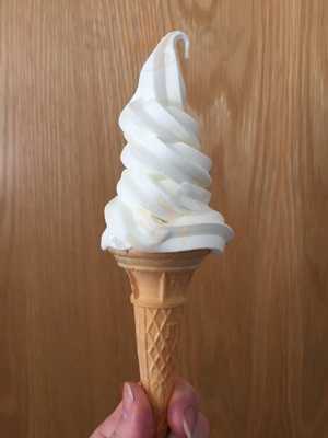 Newton's Traditional Fish & Chips