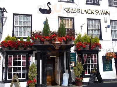 The Old Black Swan