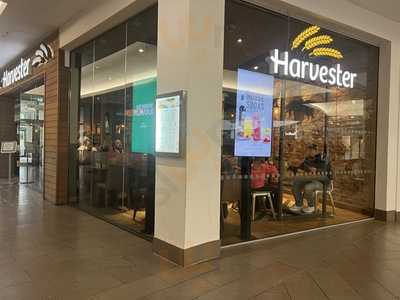 Harvester Meadowhall