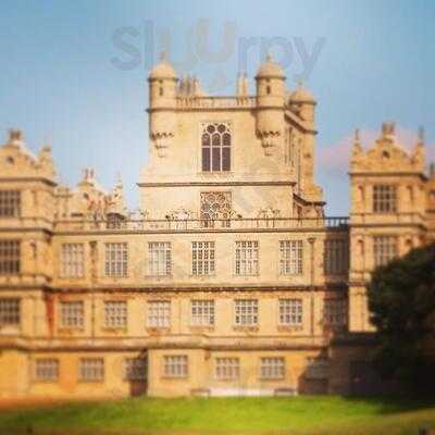 Lazy Daisy's Vintage Tea Party