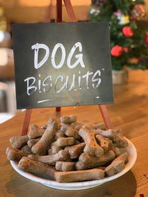 The Peloton Cafe, Hull.