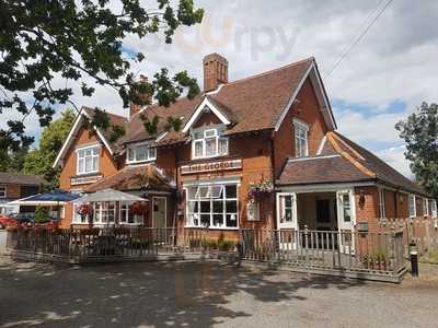 The George