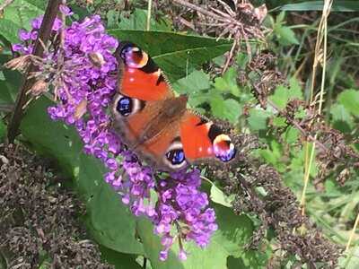 Halsham Waterside Farm Shop & Cafe