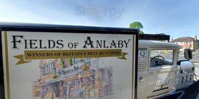 Fields Of Anlaby