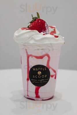 Waffle & Scoop