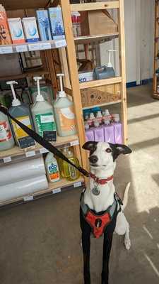 Trinity Farm Shop & Home Delivery