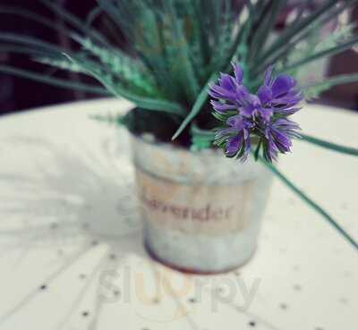 Ginger Nuts Beauty And Tea Room