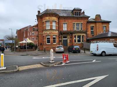 The Lloyds