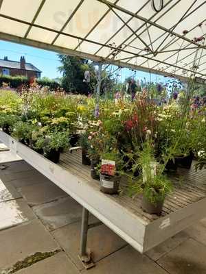California Gardens
