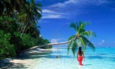 Fusion Indian Restaurant