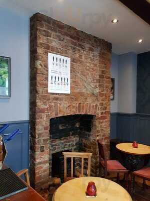 The Yorkshire Terrier