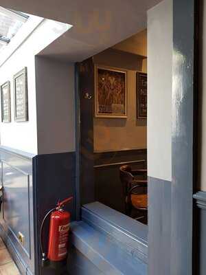 The Yorkshire Terrier