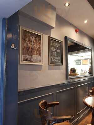 The Yorkshire Terrier