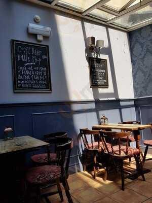 The Yorkshire Terrier