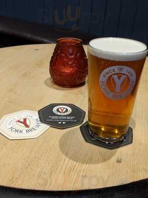 The Yorkshire Terrier