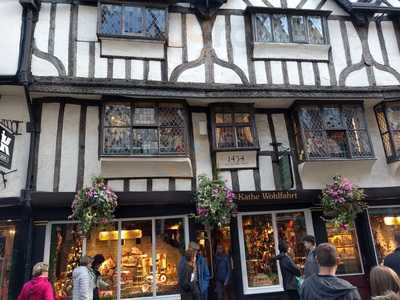 The Yorkshire Terrier