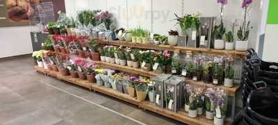 Marks & Spencer Cafe