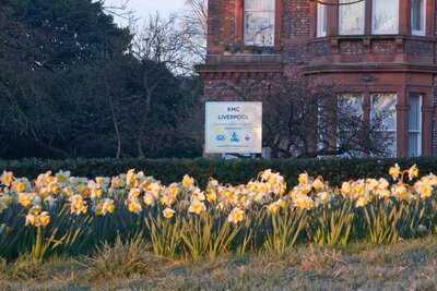 World Peace Cafe Liverpool