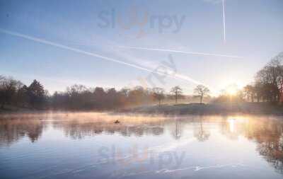 World Peace Cafe Liverpool