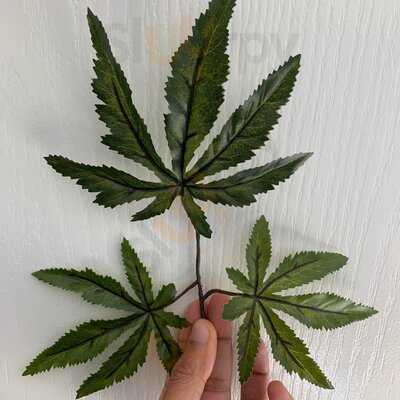 East Z East Penny Lane