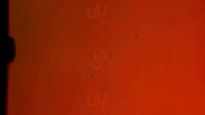 Napoleons Casino & Restaurant, Bradford