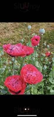 Mas Cottages Takeaway