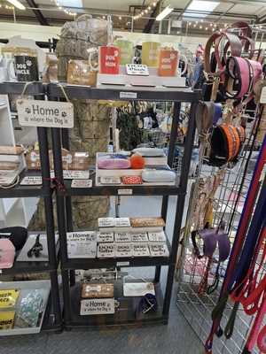 The Blue Whippet Cafe