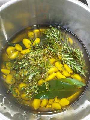 East Bridgford Greenhouse Kitchen