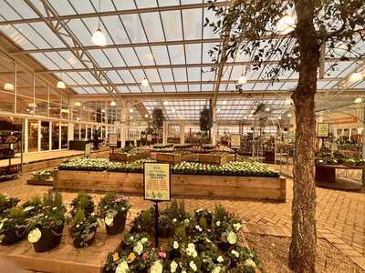 East Bridgford Greenhouse Kitchen