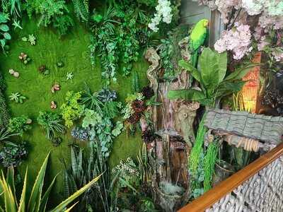 Sakura Japanese Restaurant