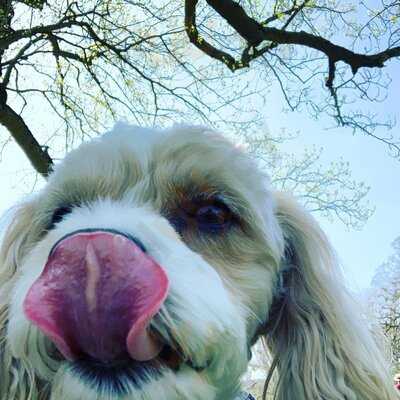 The Gnarly Bone Cafe