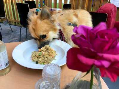 The Gnarly Bone Cafe