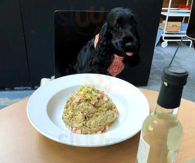 The Gnarly Bone Cafe