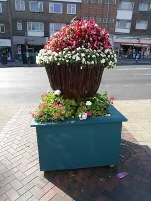 Photo 3