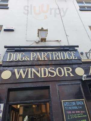 Dog & Partridge