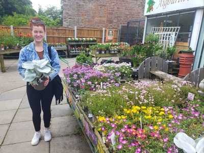 Aigburth Hall Nurseries & Tea Shop