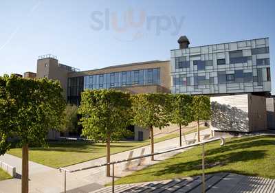 Oak Star Cafe At The Civic