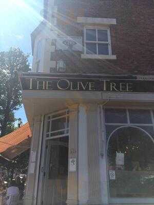 The Olive Tree