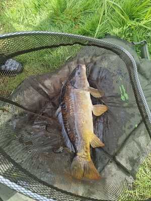 The Hayfield Fishing & Shooting Lodge